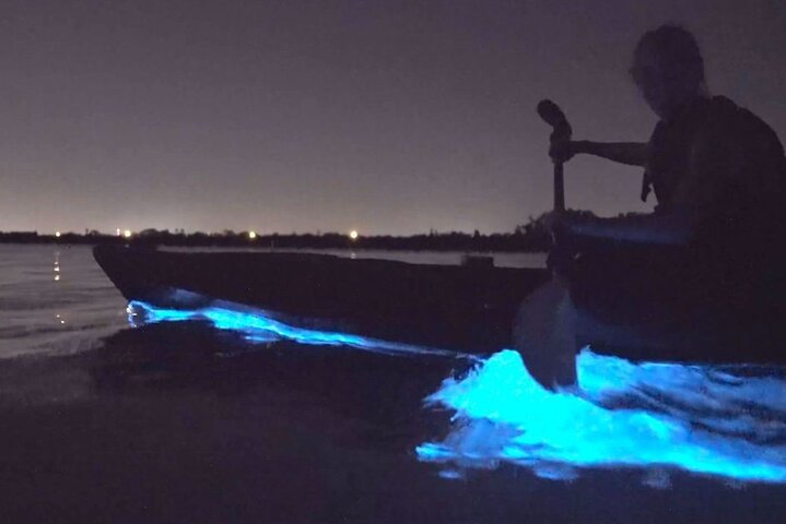 Bioluminescence Clear Kayak & Paddleboard Tour – Near Orlando