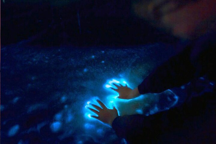 Bioluminescence Clear Kayak & Paddleboard Tour – Near Orlando