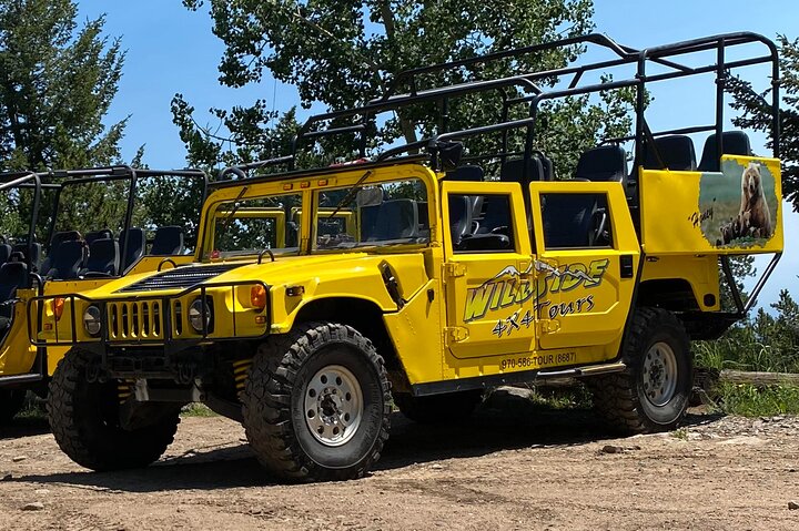 Thrilling Rock'n Roller Coaster Tour (Wildside 4x4 Tours)