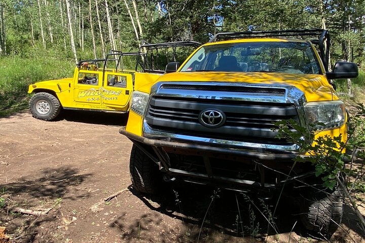 Thrilling Rock'n Roller Coaster Tour (Wildside 4x4 Tours)