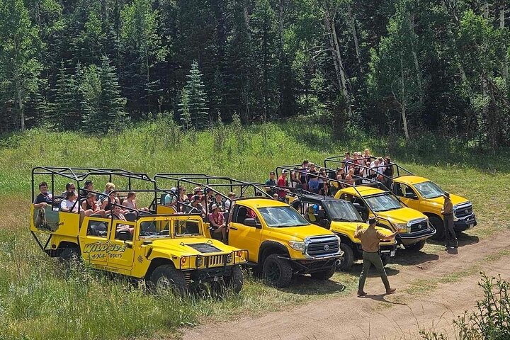 Thrilling Rock'n Roller Coaster Tour (Wildside 4x4 Tours)