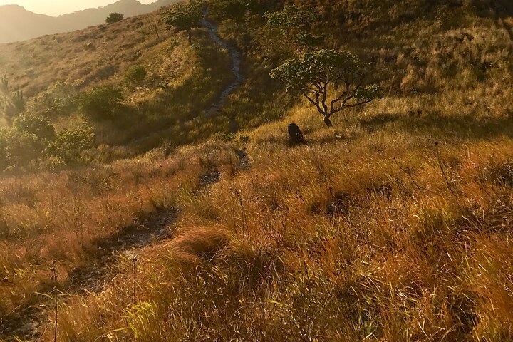 Private Tour - Alliance of E Valley Bikes and Valley Guides