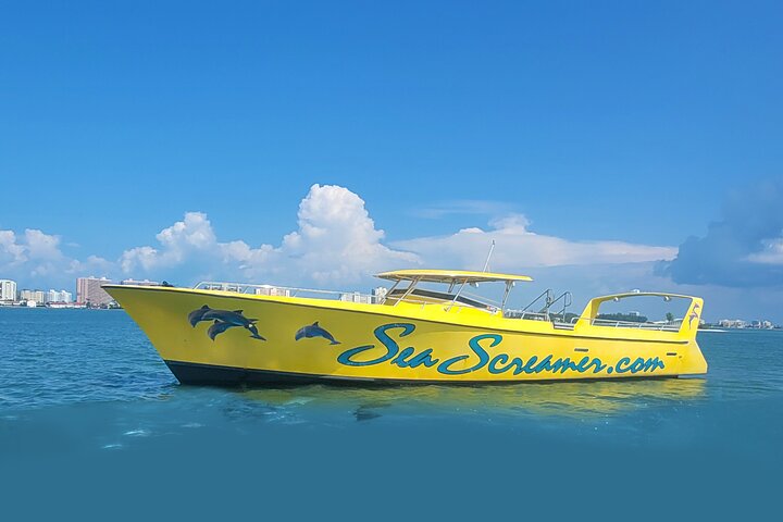 Sea Screamer Clearwater's Only Speed Boat Dolphin Watching