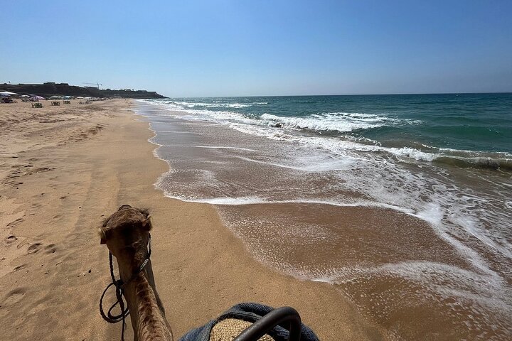 Tangier: Hercules Caves, Cap Spartel & Camel Ride Experience