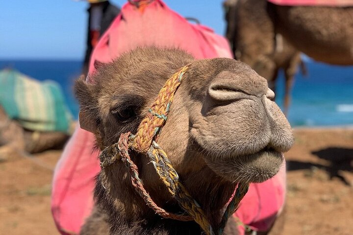 Tangier: Hercules Caves, Cap Spartel & Camel Ride Experience