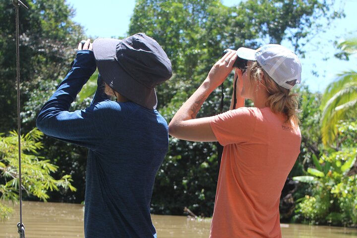 Terraba-Sierpe Mangrove Tour