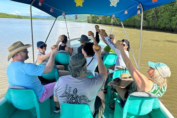 Terraba-Sierpe Mangrove Tour