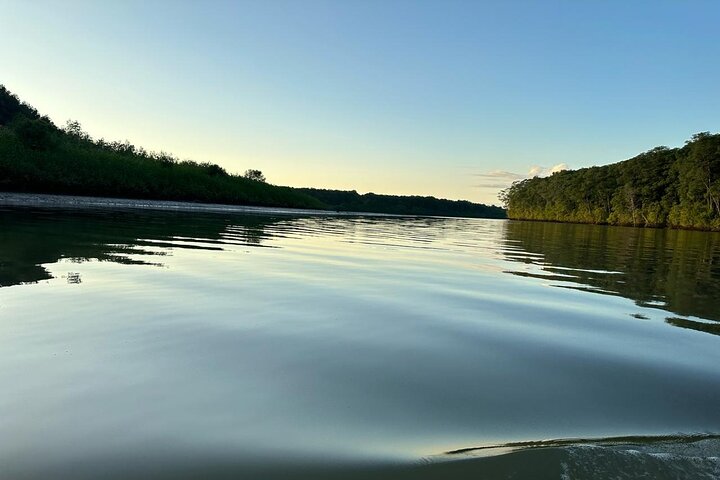 Terraba-Sierpe Mangrove Tour