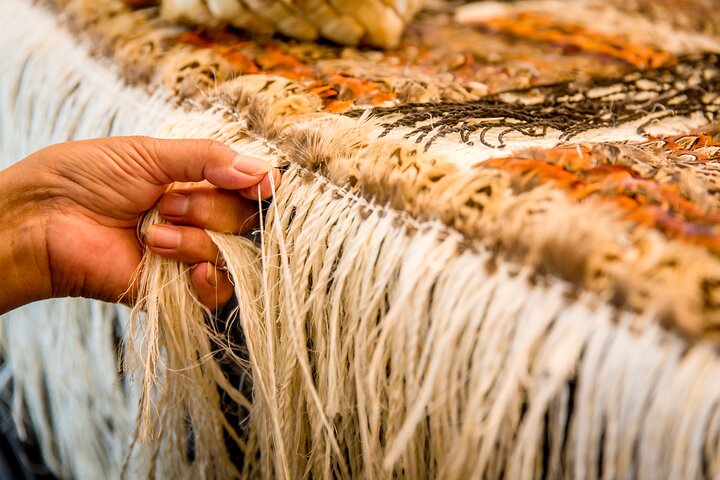 Waitomo Caves & Rotorua + Te Puia Small-Group Tour from Auckland