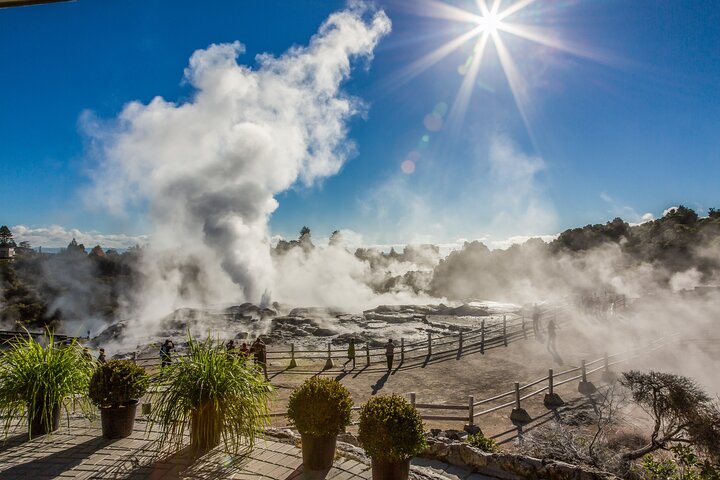Waitomo Caves & Rotorua + Te Puia Small-Group Tour from Auckland