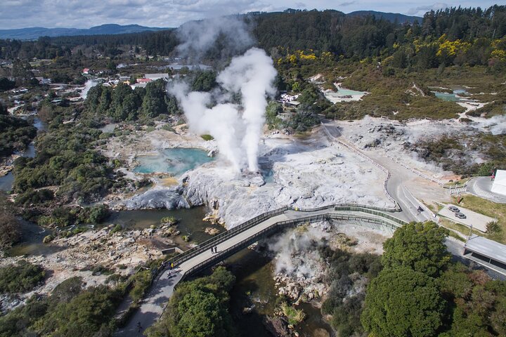 Waitomo Caves & Rotorua + Te Puia Small-Group Tour from Auckland