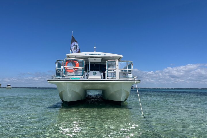 4 Hour Crab Island swim excursion in Destin!! Family friendly