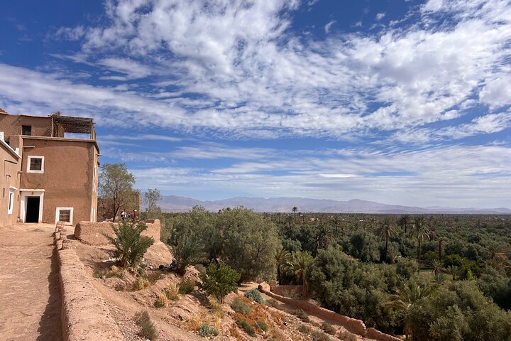 Private half-day mountain bike tour discover Palmeraie Skoura