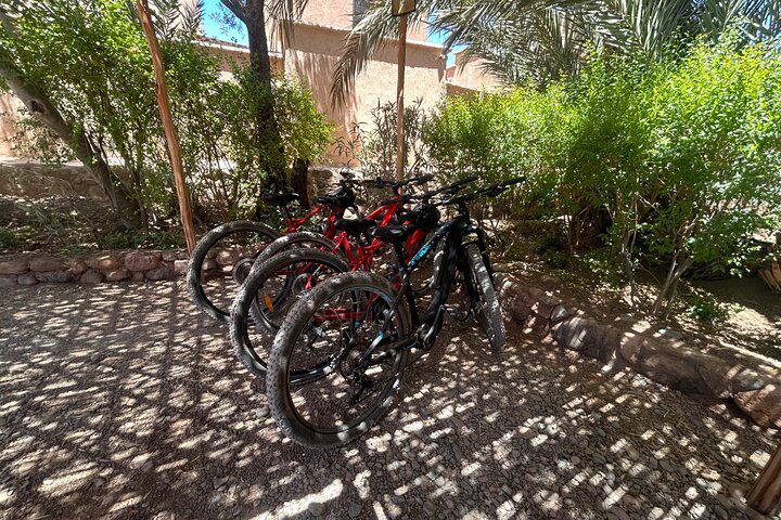 Private half-day mountain bike tour discover Palmeraie Skoura