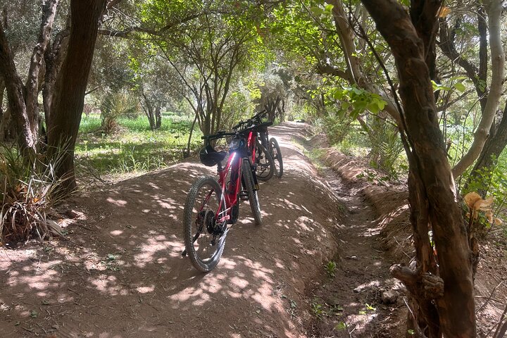 Private half-day mountain bike tour discover Palmeraie Skoura