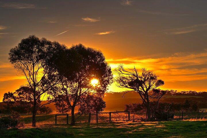 Nocturnal Tour of Kangaroo Island