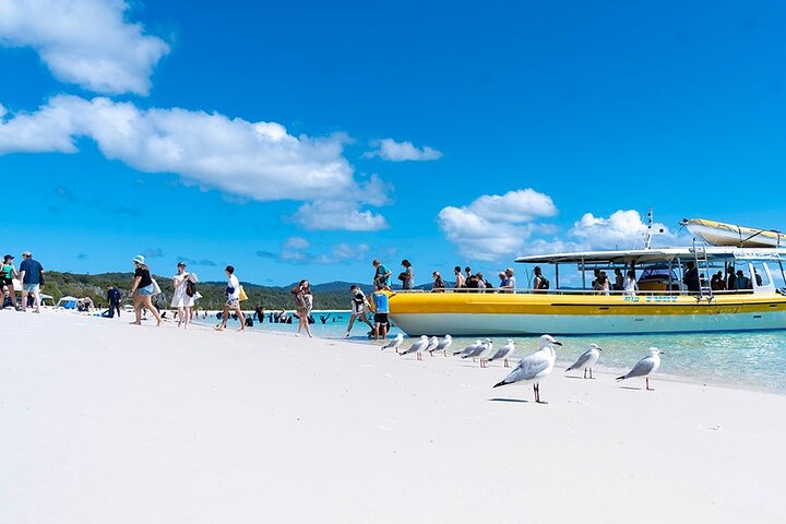 Whitsundays Day Cruise: Whitehaven Beach & Hill Inlet