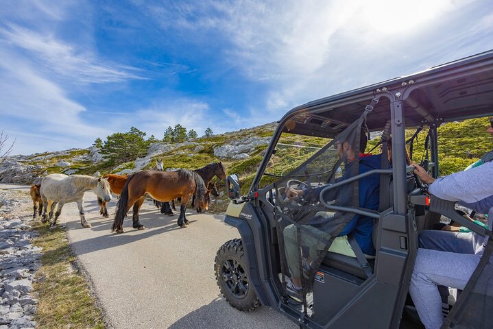 Makarska: Baggy Skywalk & Biokovo viewpoint Tour