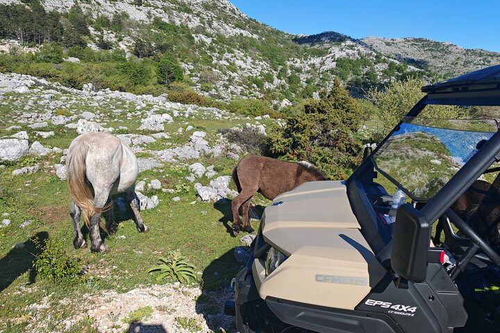 Makarska: Baggy Skywalk & Biokovo viewpoint Tour