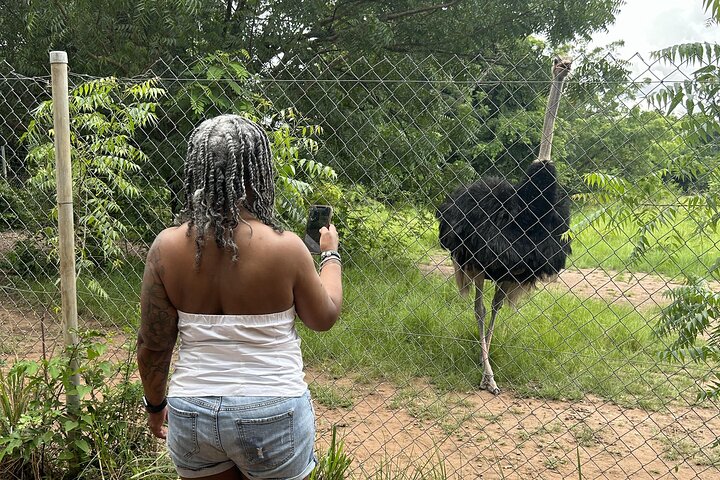 Shai Hills Safari - Hike & See Animals