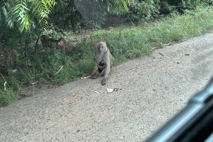 Shai Hills Safari - Hike & See Animals