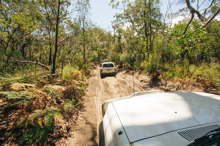 Dingos 3 Day K'Gari (Fraser Island) 4WD Tag-Along Tour