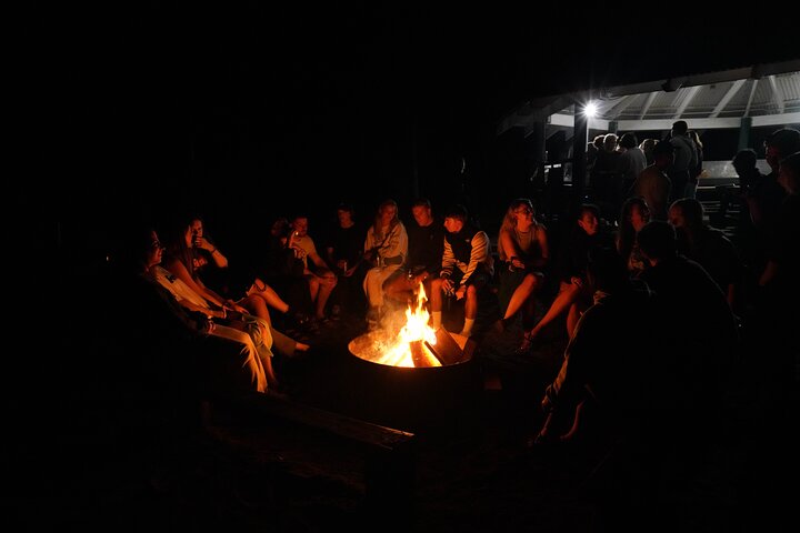 Dingos 2 Day K'Gari (Fraser Island) 4WD Tag-Along Tour