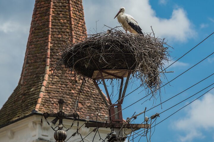 Saxon Heritage in Transylvania: Day Trip from Cluj-Napoca