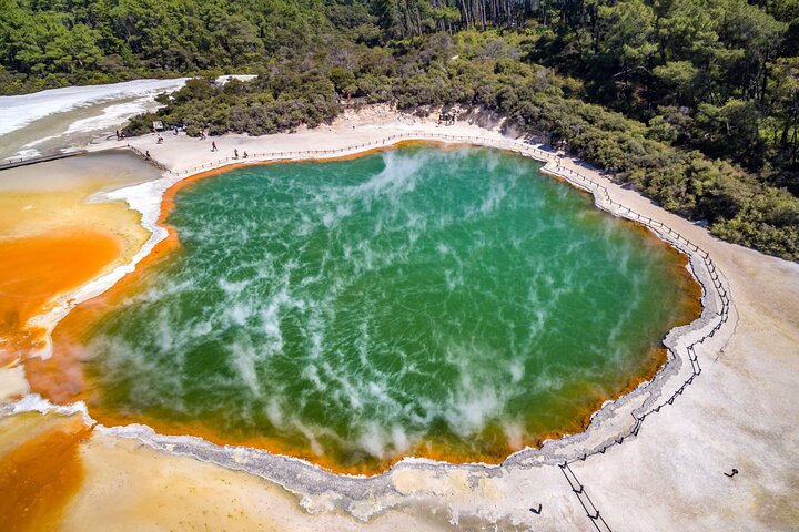 Hobbiton & Rotorua including Waiotapu Day Tour from Auckland