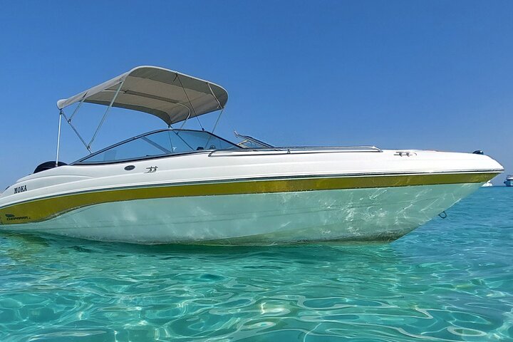 PRIVATE! | 4-hour Speed Boat Trip | Swim With Dolphins, Snorkeling & Island