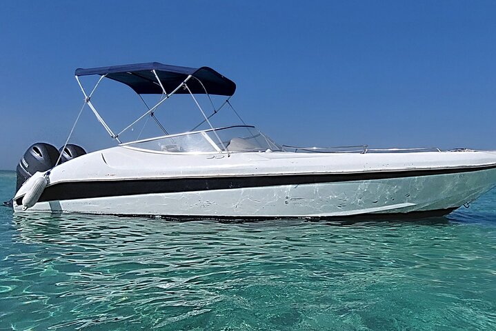 PRIVATE! | 4-hour Speed Boat Trip | Swim With Dolphins, Snorkeling & Island