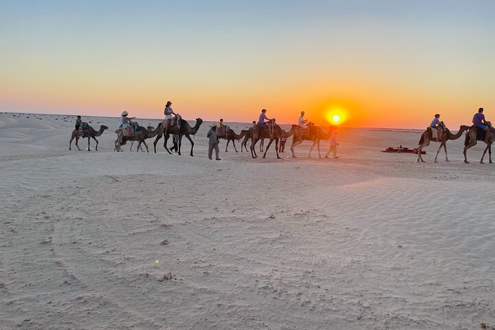 Sahara 1 Night Bivouac Desert Dunes Camel Trek with Camping