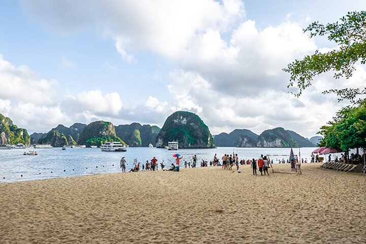 Halong Bay 5-Star Day Cruise-Titop Island, Cave, Jacuzzi & Buffet