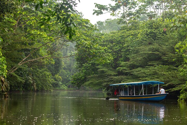 4-Day All-Inclusive Amazon Adventure: Explore Napo's Rainforest