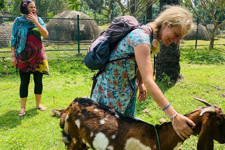 Private Jaffna City Tour: Temples, Culture & Authentic Local Life