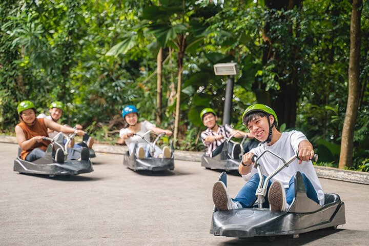 Skyline Luge Ticket Sentosa Island, Singapore