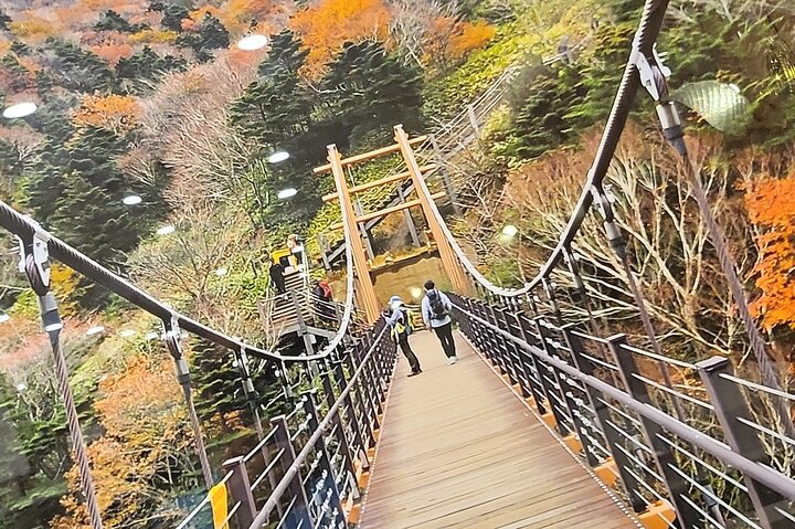 Private Self Mountain Hallasan Hiking Course in Jeju Island