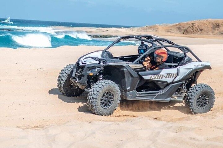 Camel Safari, UTV Adventure, and Tequila Tasting in Cabo