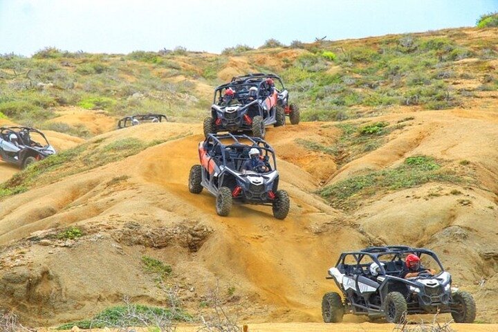 Camel Safari, UTV Adventure, and Tequila Tasting in Cabo
