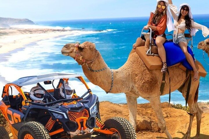 Camel Safari, UTV Adventure, and Tequila Tasting in Cabo