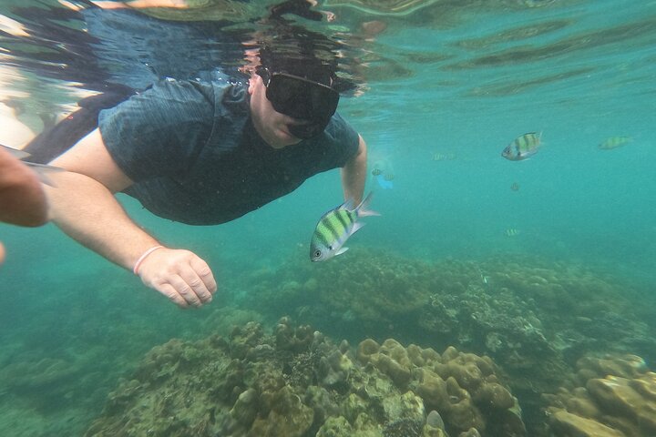 Phi Phi Khai Islands Excursion with Seaview & Lunch by speedboat