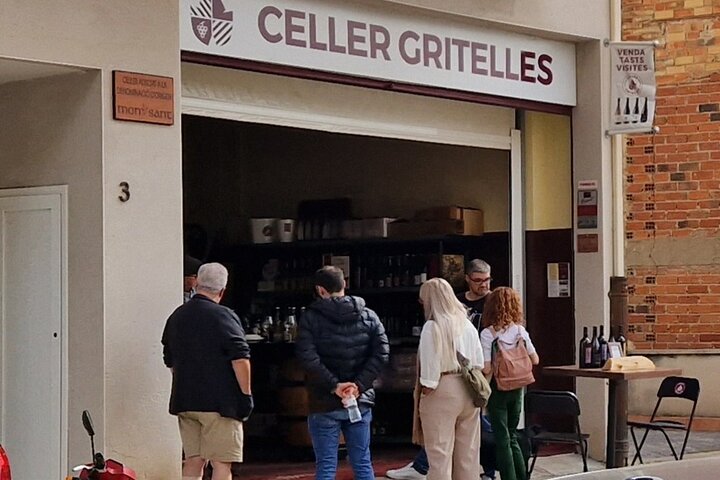 Priorat Wine Tasting Tour from Salou with hotel pickup