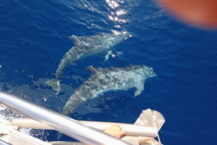 Day sailing Skiathos Skopelos with lunch on Rainbow yacht