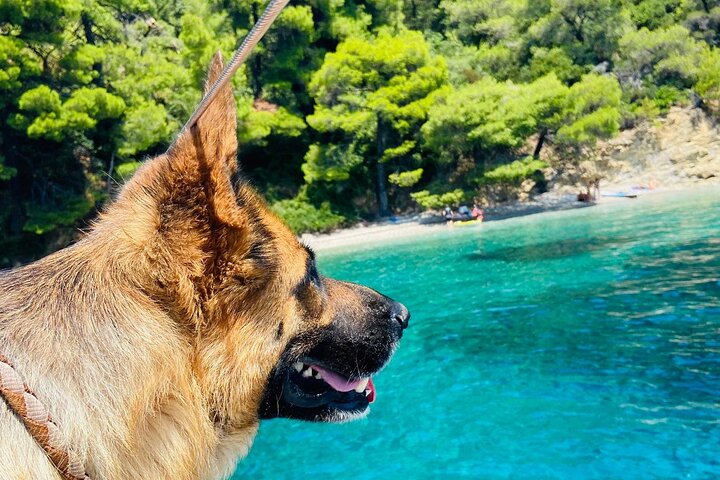 Day sailing Skiathos Skopelos with lunch on Rainbow yacht