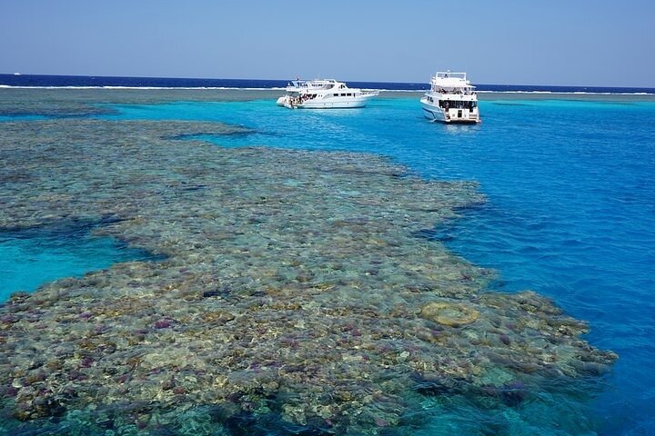 Dolphin House Sataya Reef Snorkeling Cruise from Marsa Alam