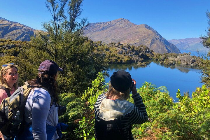 Mou Waho Island Cruise & Self-Guided Nature Walk