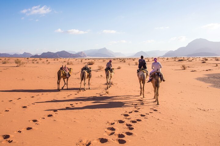 From Aqaba: Private Full-Day Wadi Rum and Petra Tour