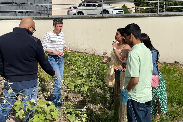 Champagne Munoz Bruneau : Half Day Visit and Tasting