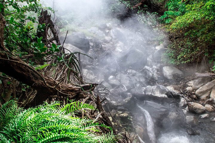 Volcano Hike, Waterfall Swim & Hot Springs Combo on Rincon de la Vieja
