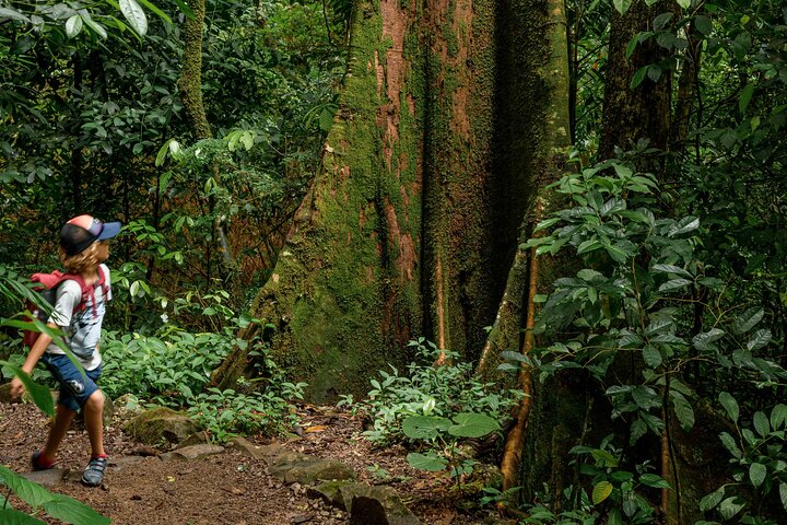 Volcano Hike, Waterfall Swim & Hot Springs Combo on Rincon de la Vieja